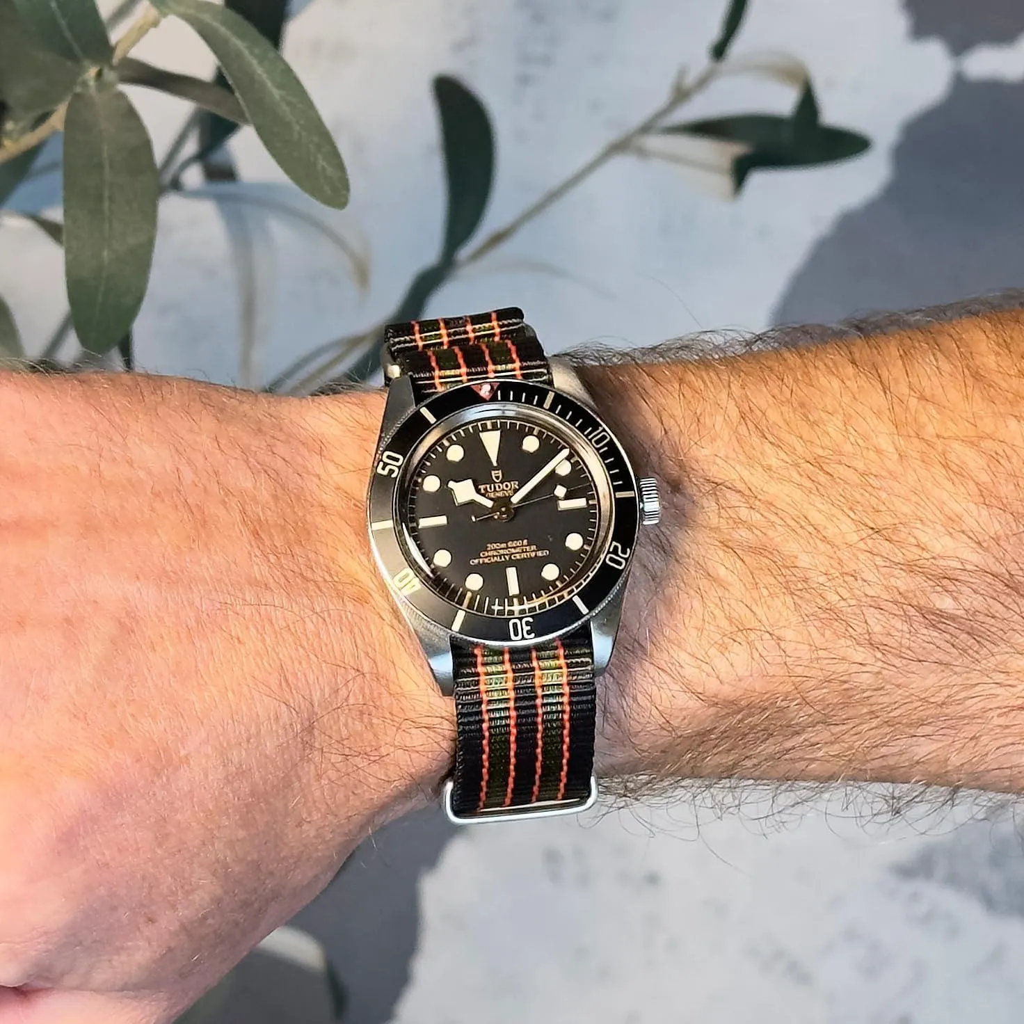 22mm & 24mm Watch Bands Original Collection Military-Style Waterproof Watch Strap, Fits All Timepiece Brands, Durable Nylon Wristwatch Accessories with Stainless Steel Buckle - pollen rescue threat performance status faithful 18mm, 20mm, 