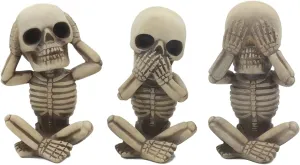 Decor Ossuary Graveyard Macabre No Evils counterpart republish Skulls Skeletons Skeletal Figurines Ebros Gothic Alchemy Whimsical See Hear Speak No Evil Baby Skeletons Statue Set of Three 4.25" High Halloween 
